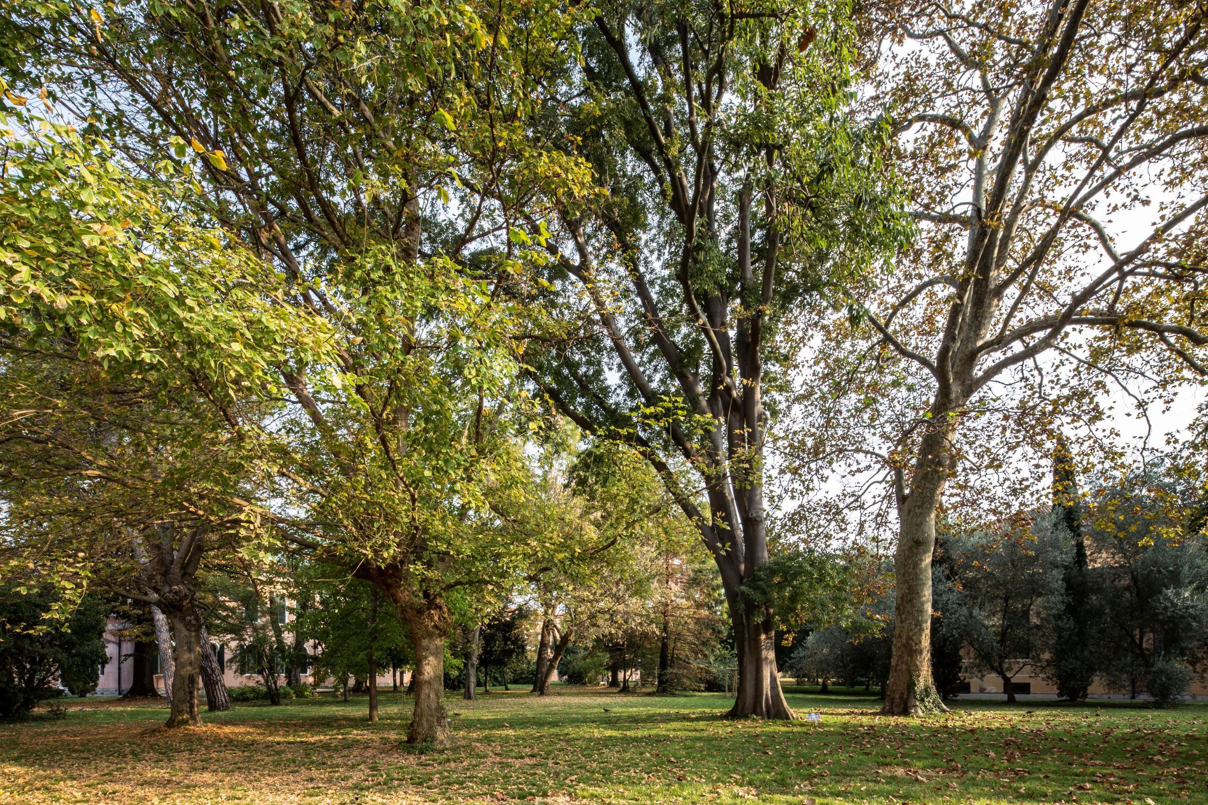 Parco Isola di San Servolo, Venezia